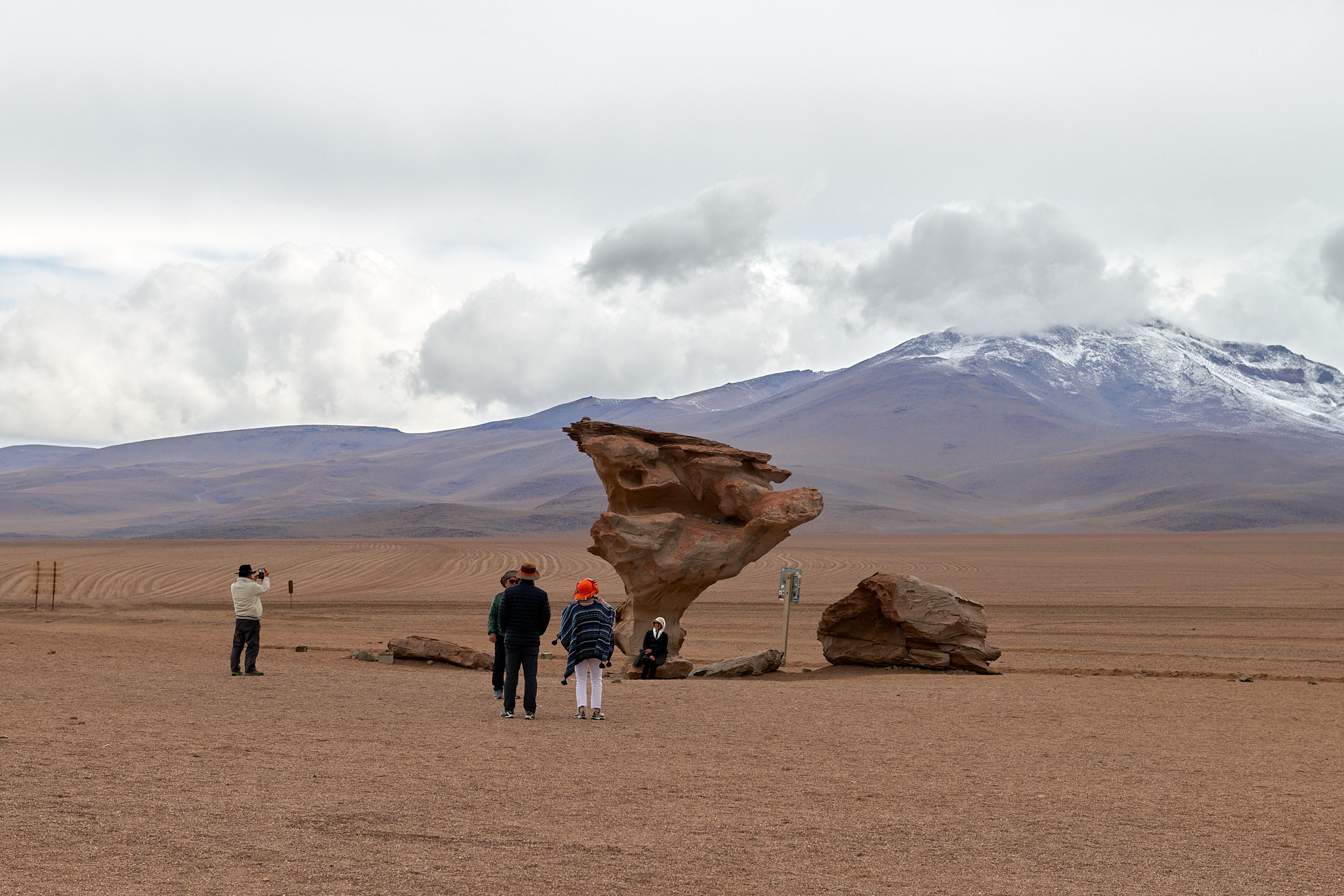 20200313 510 [볼리비아] 아르볼 데 삐에드라 돌 나무